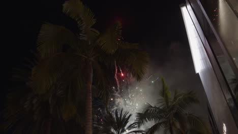 amazing cinematic fireworks display seen through palm trees at celebration in los angeles
