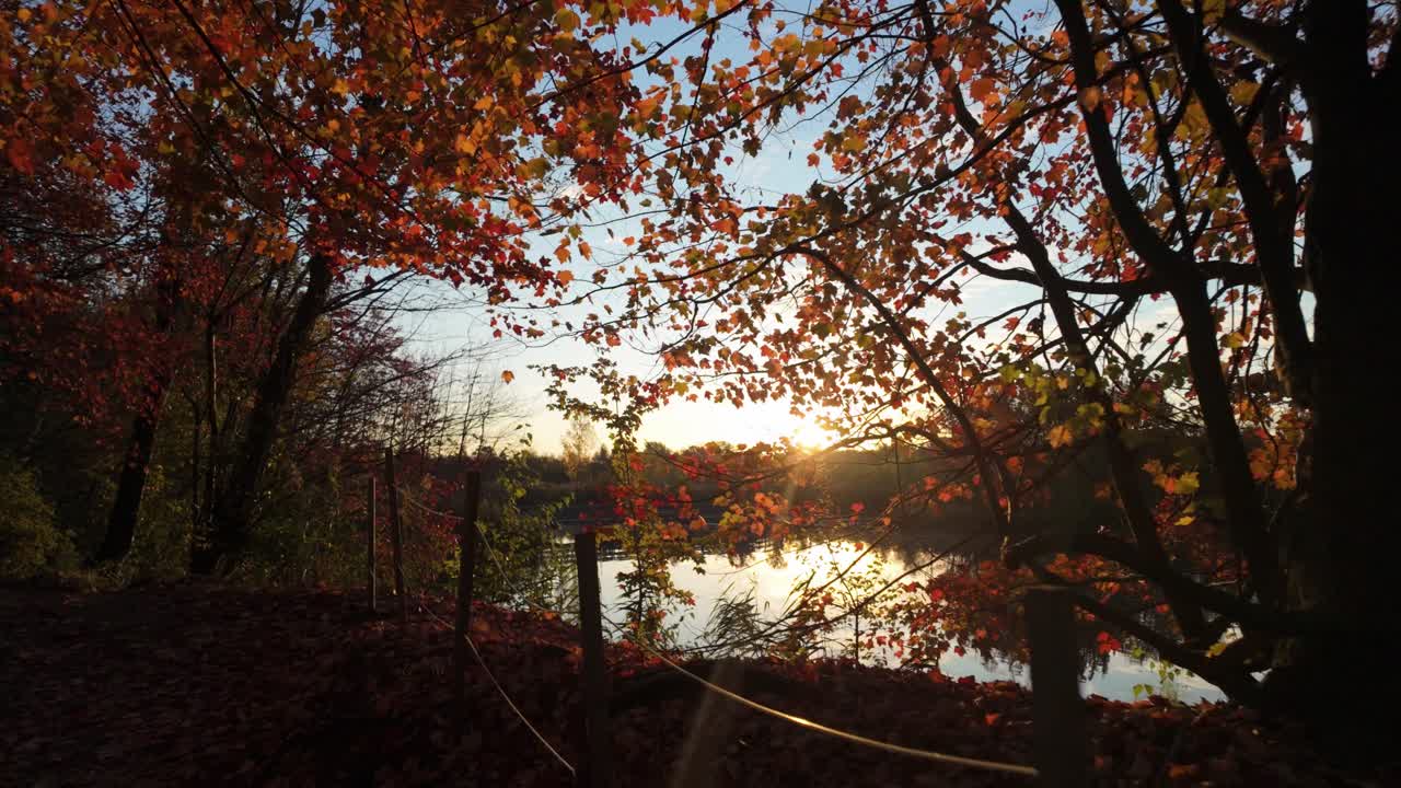 Sunset Illuminates Autumn Forest Lake Near Sainte-Julie In Quebec, Canada. POV Shot