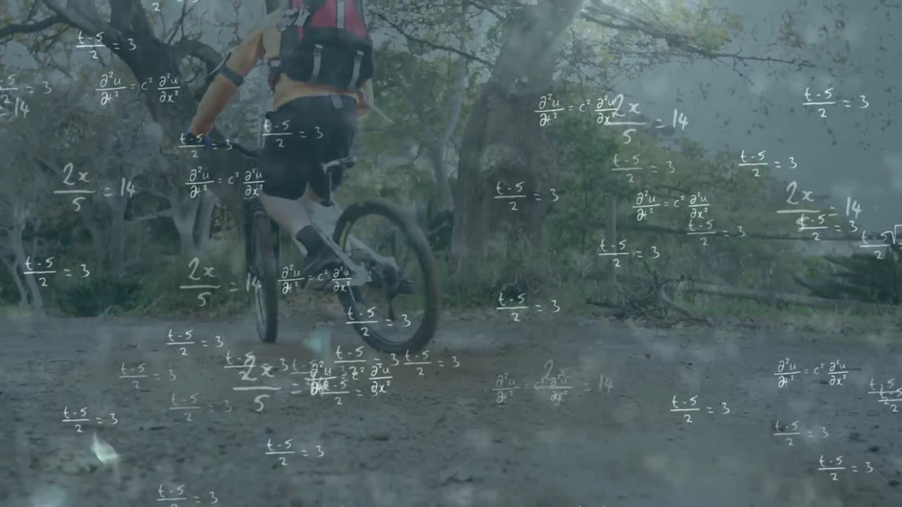 숲에서 자전거를 타는 사람에 대한 수학적 방정식