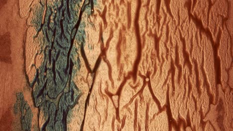 Stationary shot of blue and red ink spreading on a transparent surface