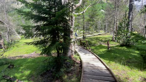 Parque-Nacional-De-Aigüestortes-España-Naturaleza-Protegida-Lerida-Catalunya-Pasarela-De-Madera-área-Protegida-Paseo-Familiar