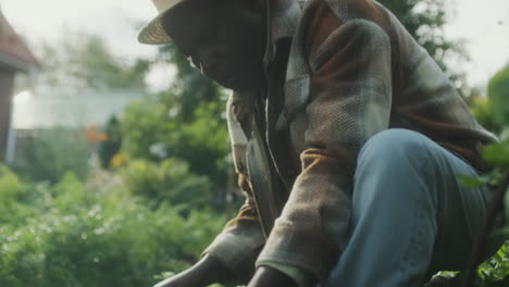 a person tending to plants in a garden