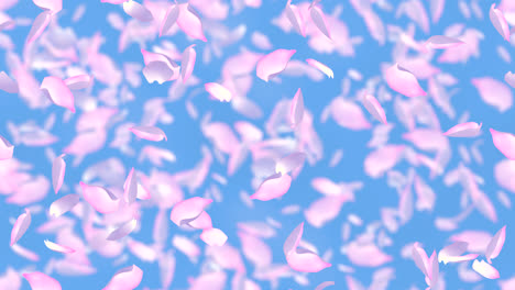 cherry blossom petals windy background looptile