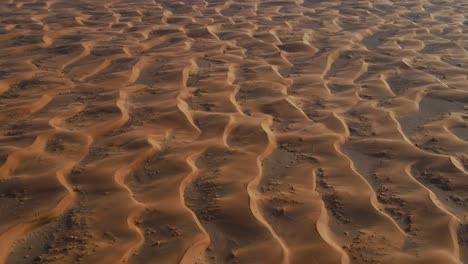 UAE-DESERT:-Drone-flying-over-breathtaking-massive-golden-sand-dunes,-Top-down-view-of-the-United-Arab-Emirates's-Wild-desert