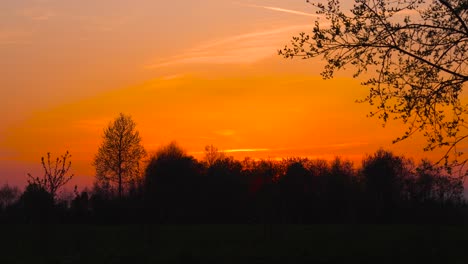 scenic vibrant orange sunset sky with dark forest silhouette, latvia