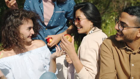 friends enjoying a picnic