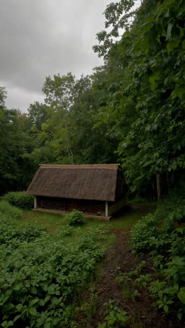 thatched roof cottage in a forest