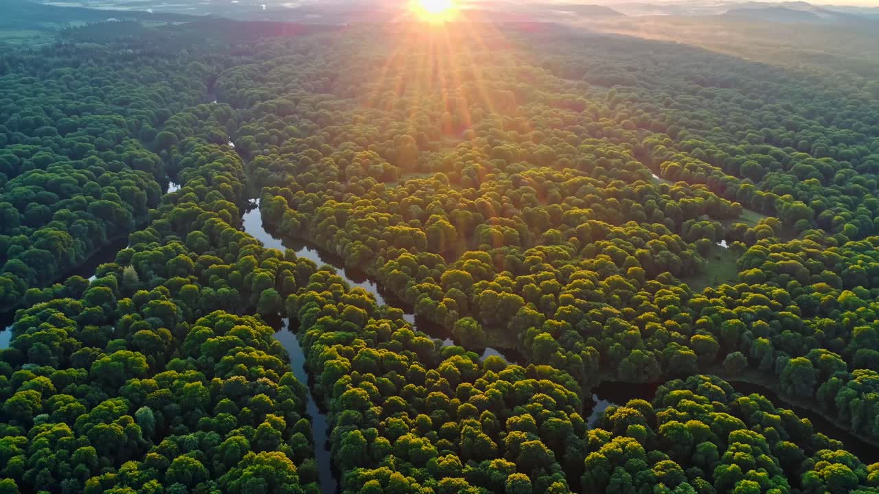 Sunrise over a Winding River in a Lush Forest