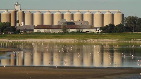 grain silos supporting local farmers