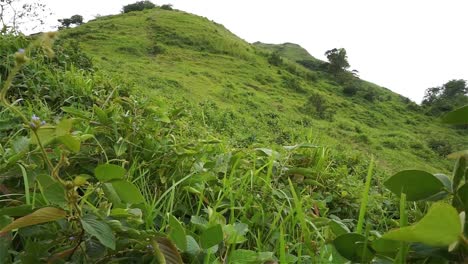 mt. gulugod baboy in the philippines in a cloudy and windy weather. -- slow motion