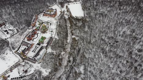 aerial forest view in cold season