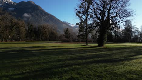 Profile-view-of-trees-and-tall-bushes-of-Walensee,-Switzerland