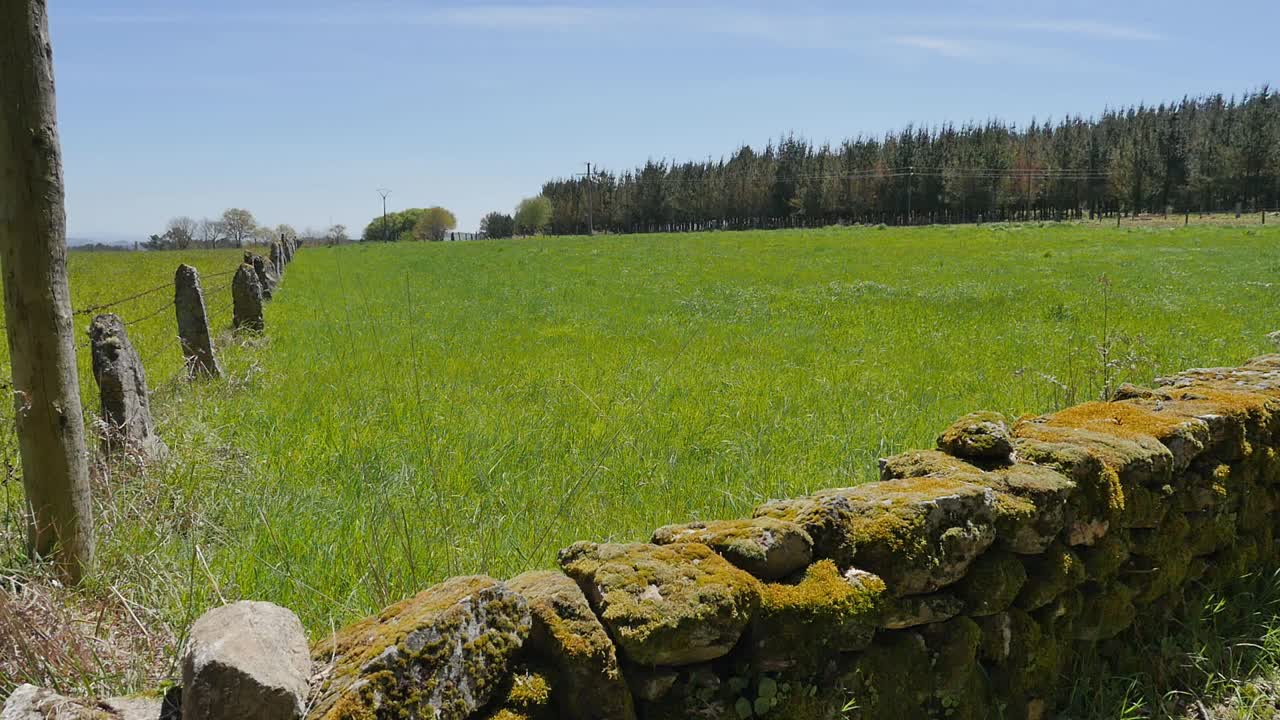 un campo verde con un muro de piedra en primer plano y un bosque en segundo plano con un fondo de cielo azul claro en un día soleado