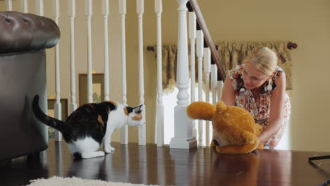 A-Woman-Plays-With-A-Cat-Shows-A-Cat-A-Teddy-Bear-The-Cat-Is-Afraid-Of-Toys-Funny-Pet-Videos