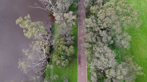 Vista-De-Pájaro-Sobre-El-Carril-Bici-Junto-Al-Río-A-Través-De-Los-árboles