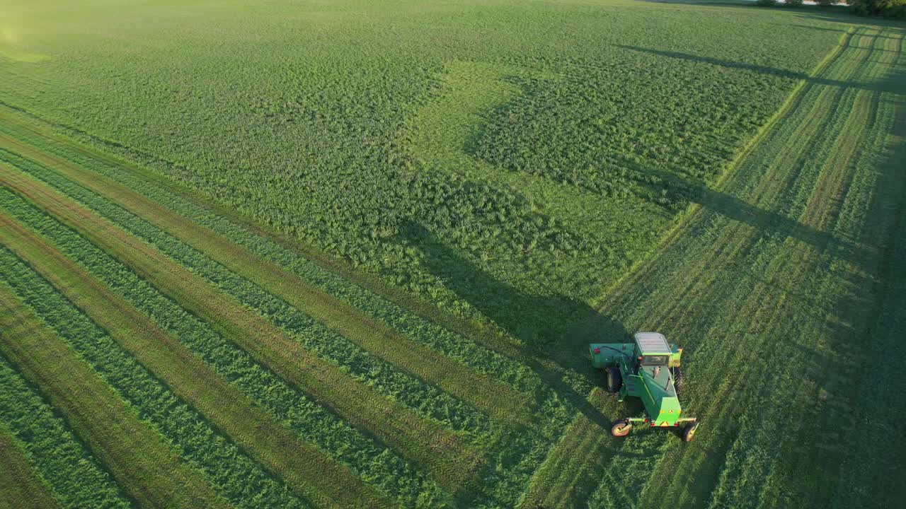 Nella contea di Door, WI, un contadino su un trattore John Deere, taglia il suo campo di erba medica a fine agosto-10