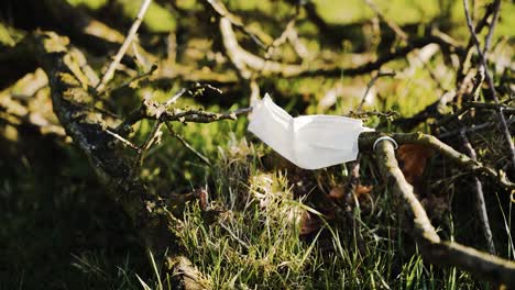 disposable medical face mask ppe litter in forest, effects of covid-19