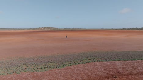 a solitary figure walking across a vast red landscape