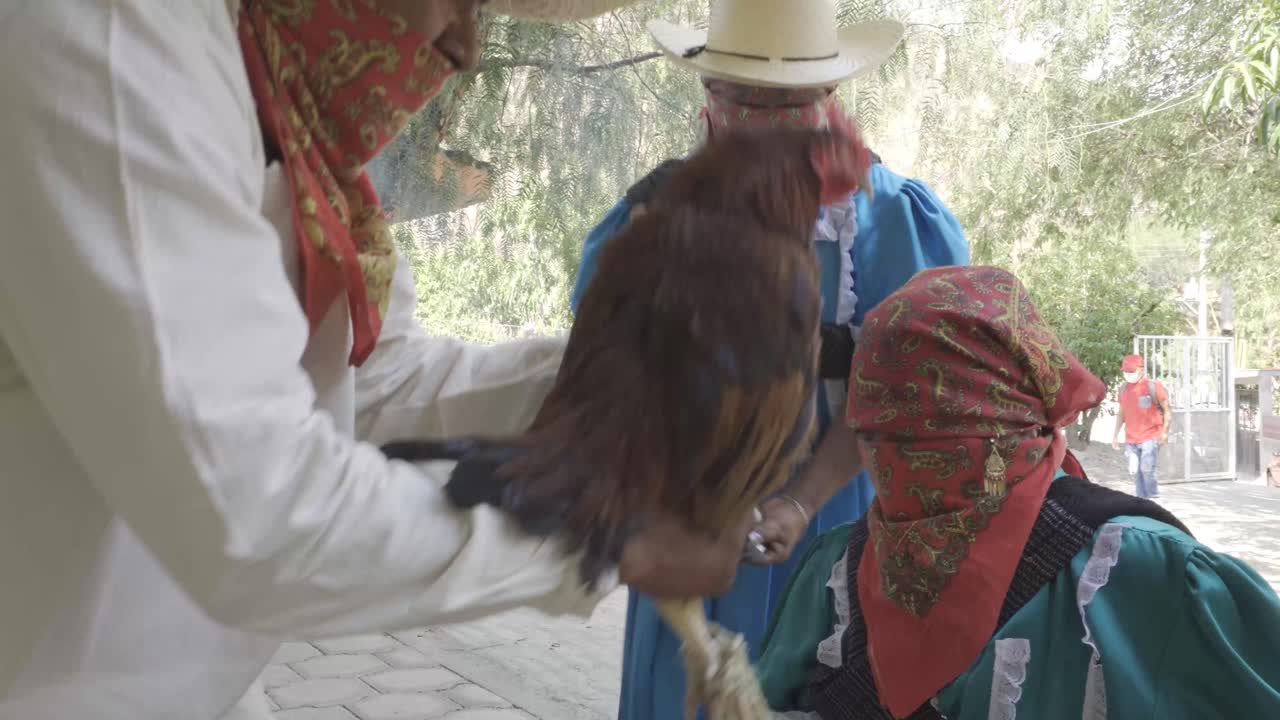 Traditional dances Mexico during the carnival Dance of the Jolos in Xayacatlan de Bravo Puebla Mexico