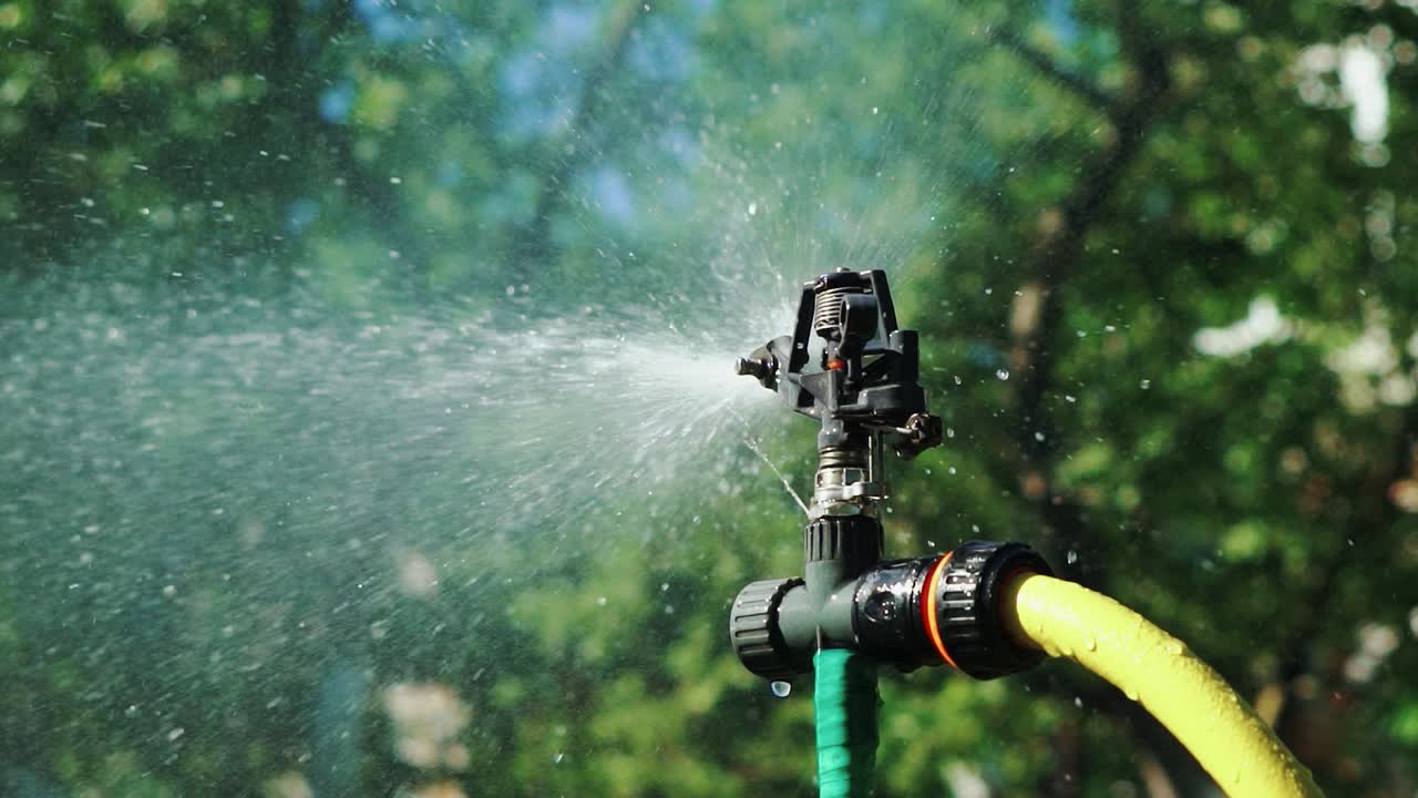 Watering lawn in green garden. Watering hose and sprayer water on the garden