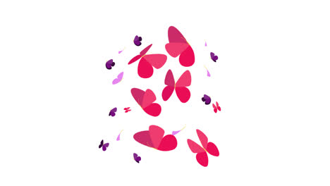 pink and purple butterflies design