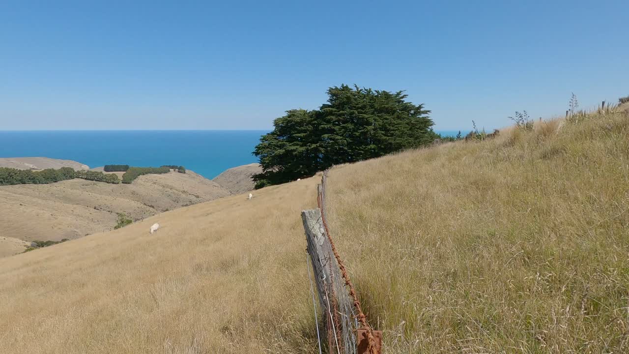 la valla antigua contrasta con la hierba dorada y los azules del océano y el cielo en verano - bossu road, canterbury