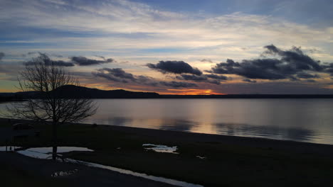 lonely tree branches dusk dawn from the edge of a large lake - ocean and sea stock videos
