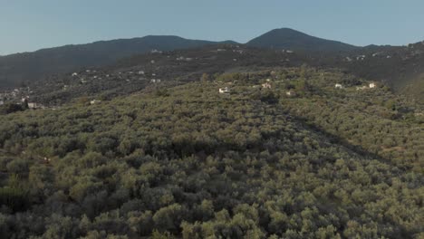 aerial drone footage of mountain and green trees and small traditional greek village at pelion greece magnisia