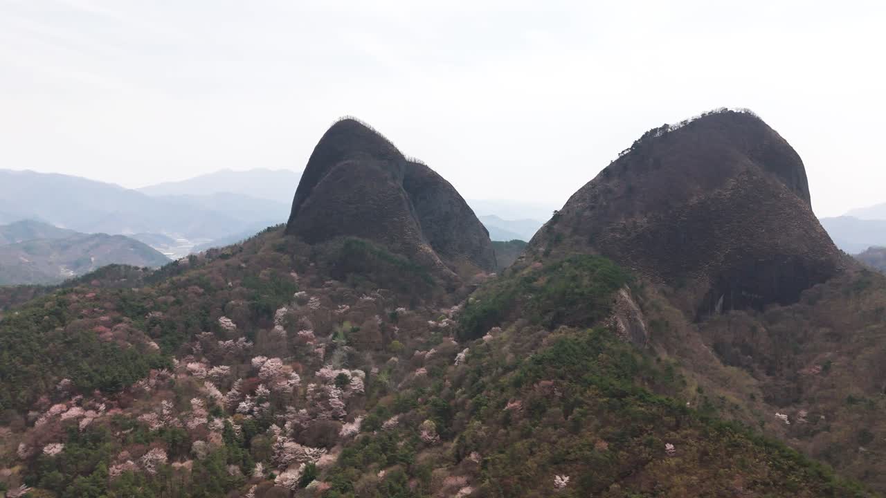 Mountain Landscape with Forest and Scenic Views