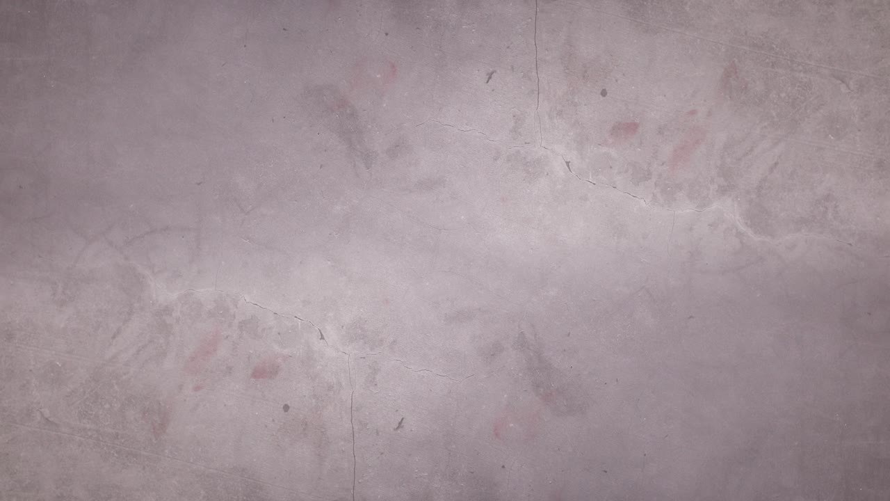 ramas de pino de navidad haciendo marco con adornos de oro en la parte superior e inferior. detener el movimiento