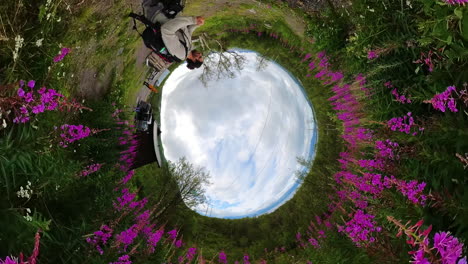 mochileros que muestran la belleza de las flores silvestres y la naturaleza salvaje en el parque nacional de abisko, suecia
