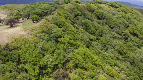 aerial view of the forest fanal in madeira