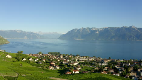 picturesque hillside scenery of cully village - lavaux vineyard in switzerland - aerial shot