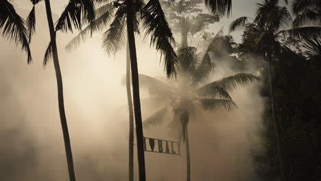 misty palm trees and love banner in a tropical jungle