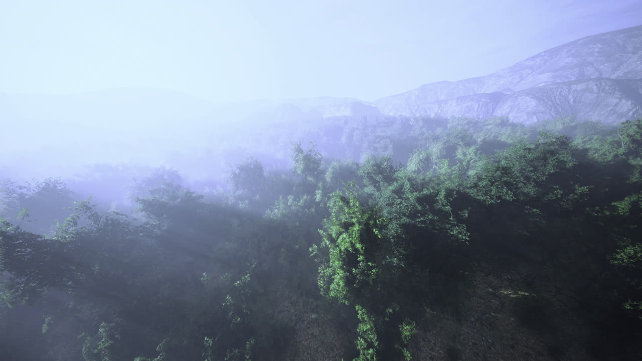 Misty morning reveals lush green landscape beneath distant mountains