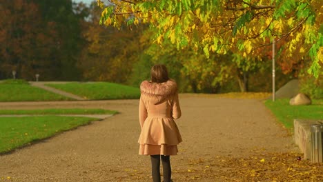 Junges-Mädchen-Im-Braunen-Pelzmantel,-Das-Im-Park-Spazieren-Geht-Und-Die-Herbstfarben-Bewundert