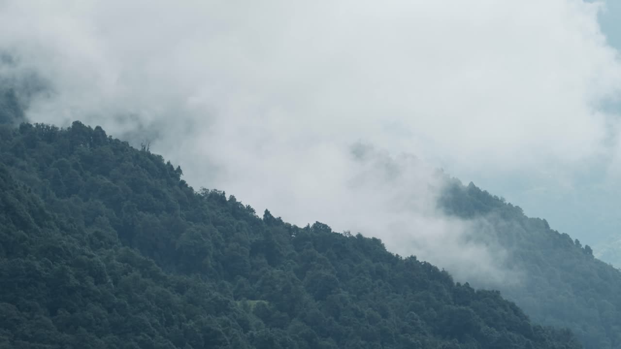 Mountain Ridge with Forest in Clouds, Nepal Nature Shot of Himalayas Mountains with Trees and Layers of Low Lying Clouds in the Ananpurna Region of Nepal