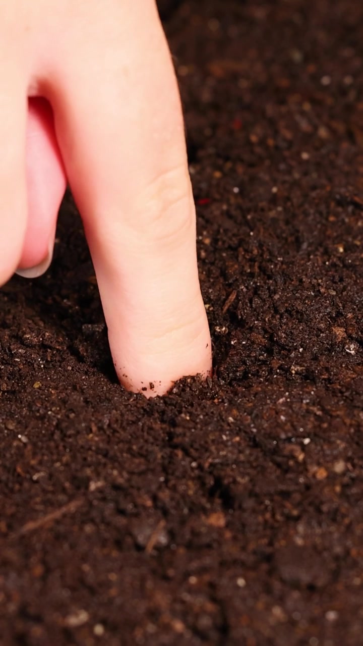 Primo piano di un dito che fa un buco nel terreno per piantare