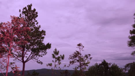 Night-time-lapse-in-Kirirom,-Cambodia