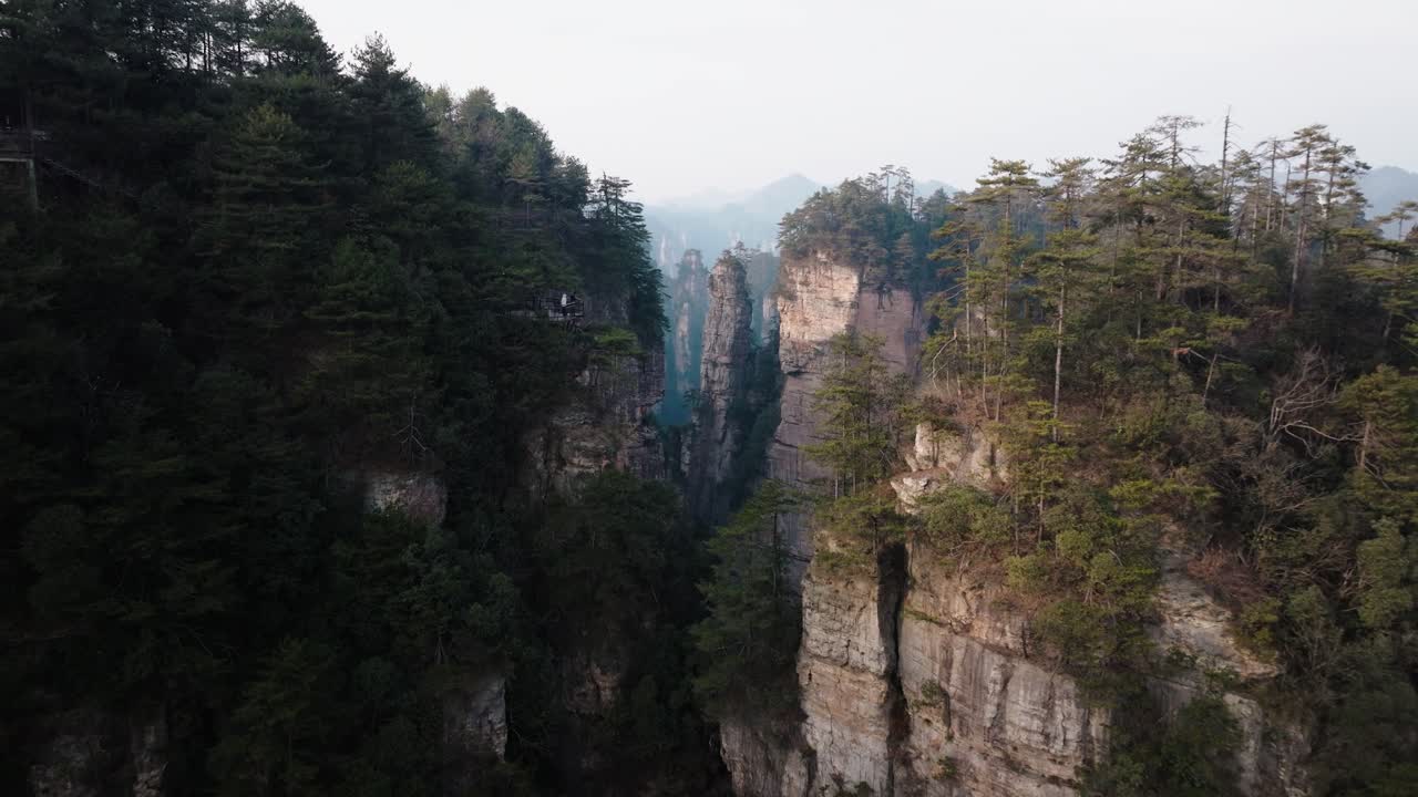 Aerial view of towering sandstone pillars and dense forest in Zhangjiajie National Park under soft afternoon light