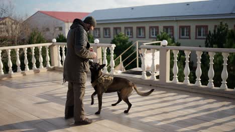 Professional-male-trainer-practicing-with-animal