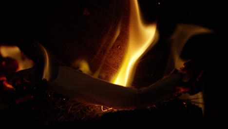 slow motion close up of fire