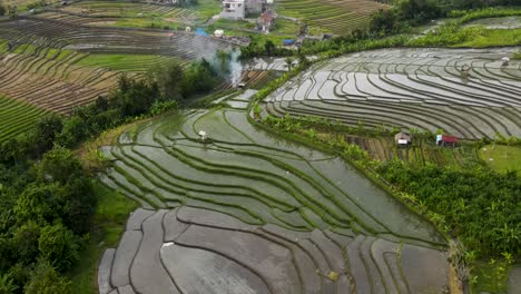 Vista-Aérea-Vibrante-Campo-De-Arroz-Verde-Con-Fuego-Ardiendo-En-Bali-Indonesia