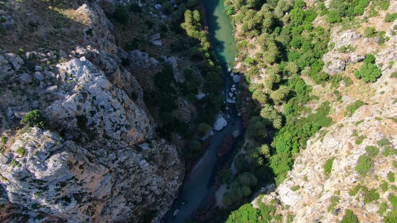 inclinación aérea de un río entre palmeras en un impresionante desfiladero cerca de la playa de preveli, creta