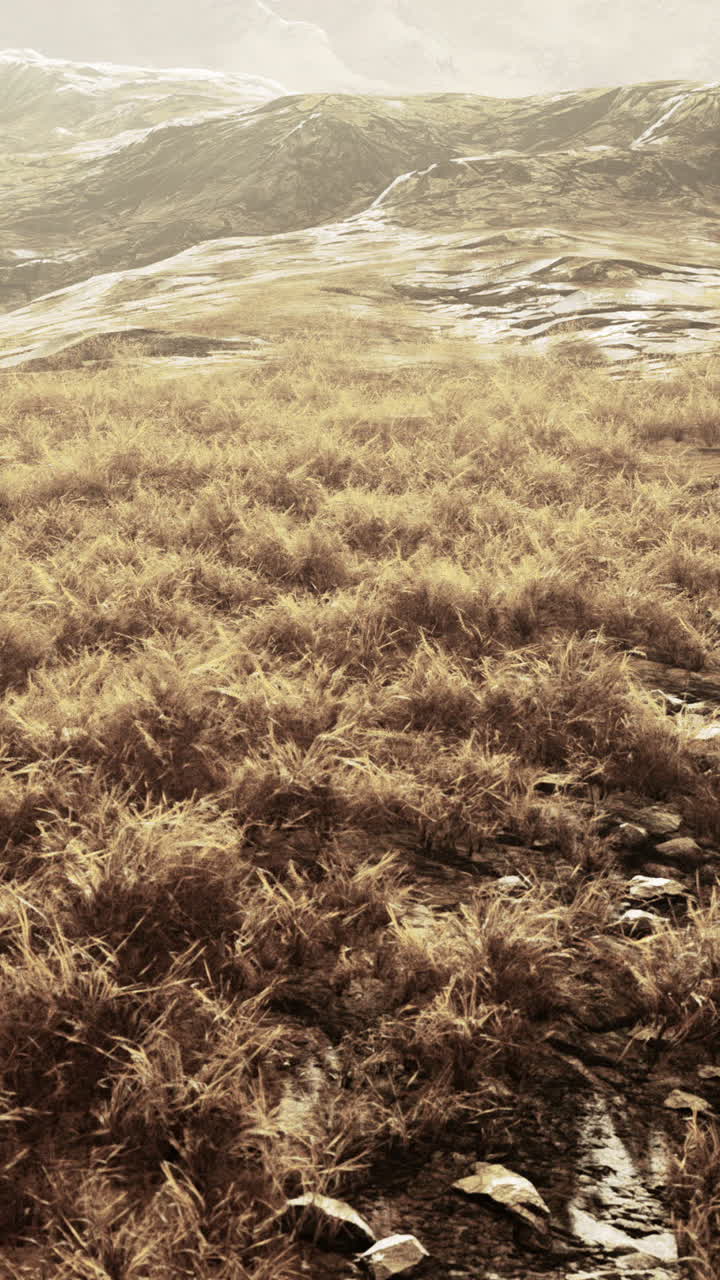 배경 에 산 들 이 있는 잔디  의 아름다운 풍경