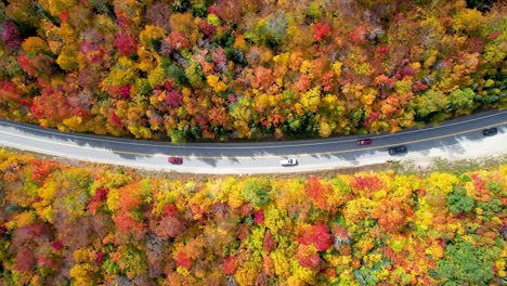 Aerial-view-of-cars-driving-scenic-road-with-changing-leaves,-fall-colors