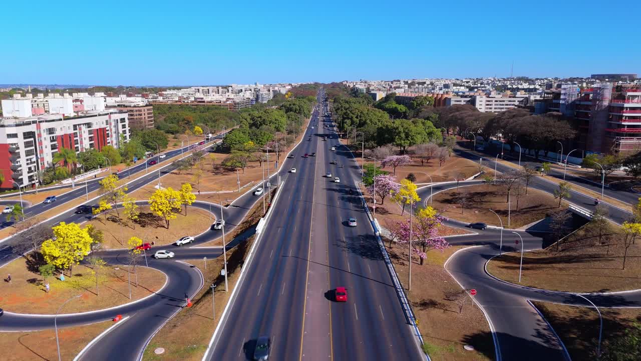 브라질 의 북쪽 에 있는 노란색 아이페스 아이카오 의 공중 사진 - 브라질