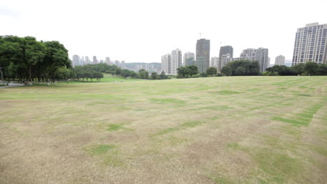 a lawn in chongqing central park