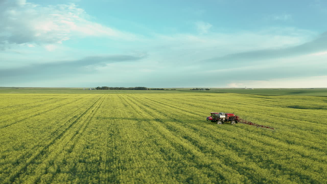 tractor rociando los florecientes campos de canola en saskatchewan, canadá durante la primavera