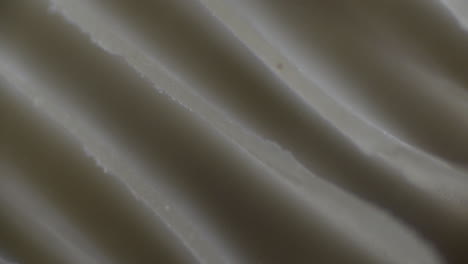 extreme close up shot of mushrooms gills releasing spores